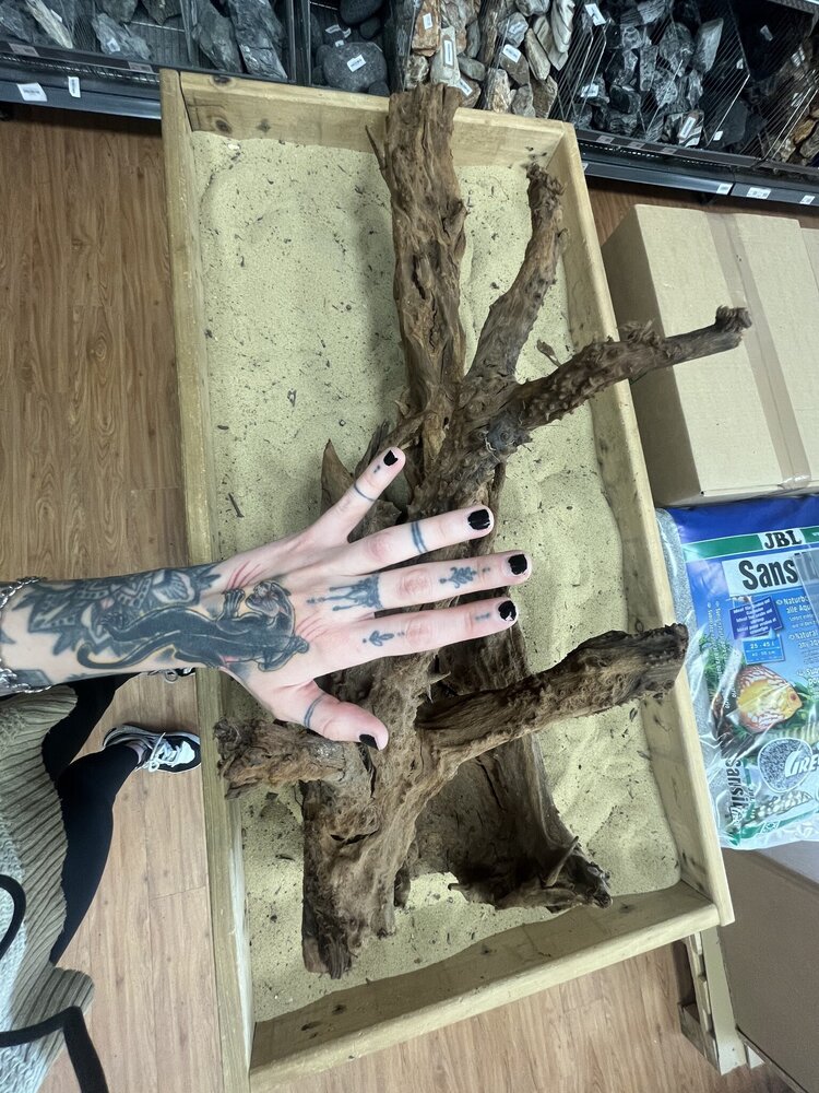 AQXL Ausgewähltes Mangrovenholz XL D 70-90cm AQXL Ausgewähltes Mangrovenholz XL D 70-90cm