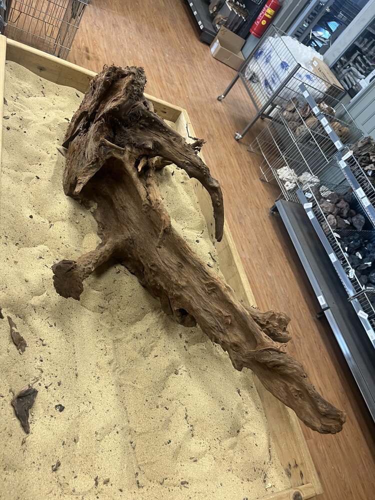 AQXL Ausgewähltes Mangrovenholz XL C 70-90cm