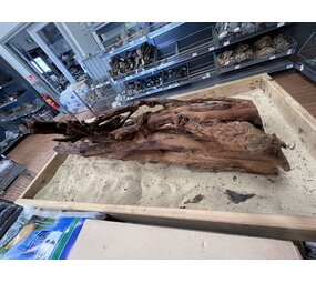 AQXL Ausgewähltes Mangrovenholz XL A 70-90cm AQXL Ausgewähltes Mangrovenholz XL A 70-90cm