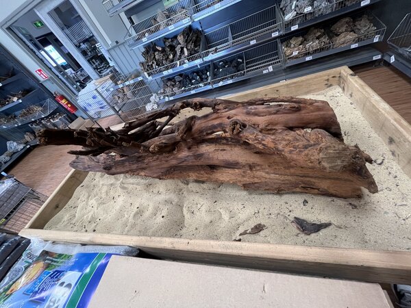 AQXL Ausgewähltes Mangrovenholz XL A 70-90cm AQXL Ausgewähltes Mangrovenholz XL A 70-90cm