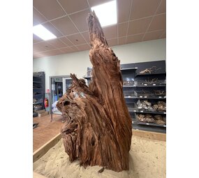 AQXL Ausgewähltes Mangrovenholz XL B 70-90cm