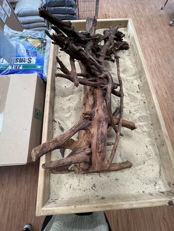 AQXL Ausgewähltes Mangrovenholz XL A 70-90cm AQXL Ausgewähltes Mangrovenholz XL A 70-90cm