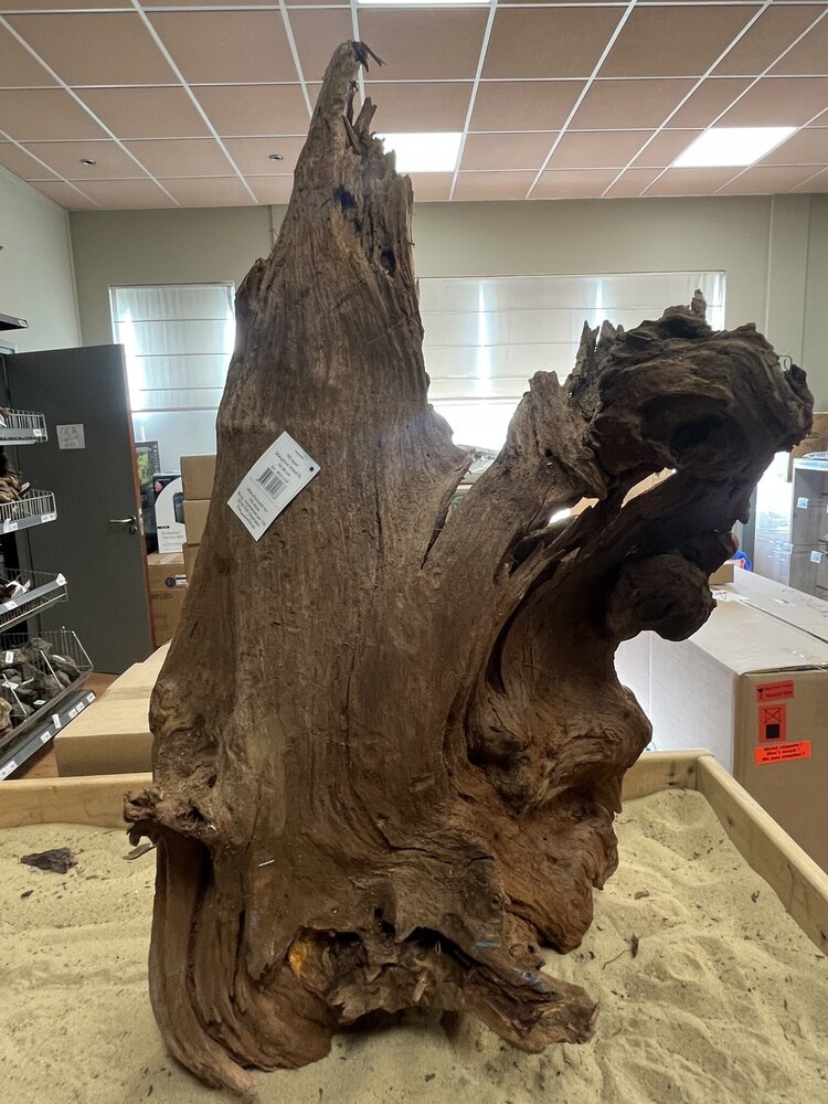 AQXL Ausgewähltes Mangrovenholz XL B 70-90cm AQXL Ausgewähltes Mangrovenholz XL B 70-90cm