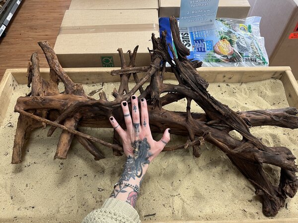 AQXL Ausgewähltes Mangrovenholz XL A 70-90cm AQXL Ausgewähltes Mangrovenholz XL A 70-90cm