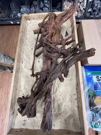 AQXL Ausgewähltes Mangrovenholz XL A 70-90cm AQXL Ausgewähltes Mangrovenholz XL A 70-90cm