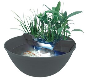 Superfish Mini Teich Grau