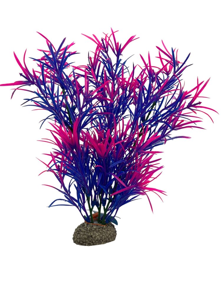 Aqua D'ella Pflanze Hydrilla Bunt 27cm