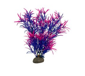 Aqua D'ella Pflanze Hydrilla Bunt 27cm