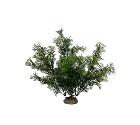 Aqua D'ella Pflanze Phoenix 31cm