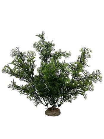 Aqua D'ella Pflanze Phoenix 31cm