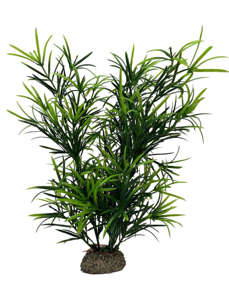 Aqua D'ella Pflanze Hydrilla 27cm