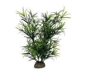 Aqua D'ella Pflanze Hydrilla 27cm