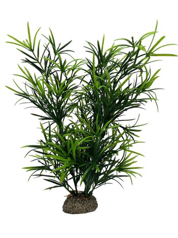 Aqua D'ella Pflanze Hydrilla 27cm