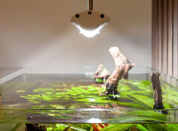 Aquatlantis EasyLED Universal Ultra 1600 70W mit Ori Controller