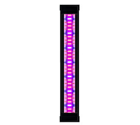 Ciano LED Plants Emotions CLE 40 Schwarz