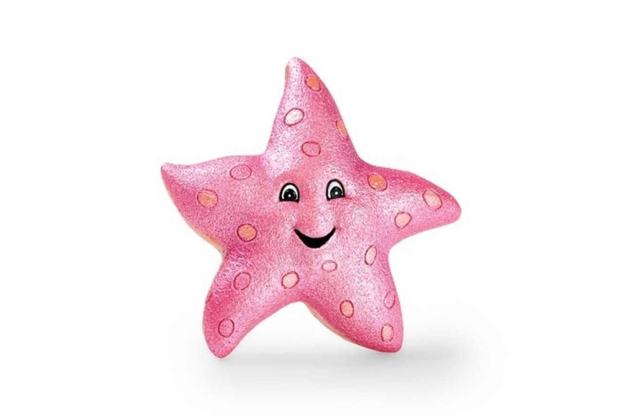 Eden Seestern Dekorationsornament