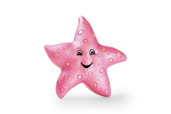 Eden Seestern Dekorationsornament