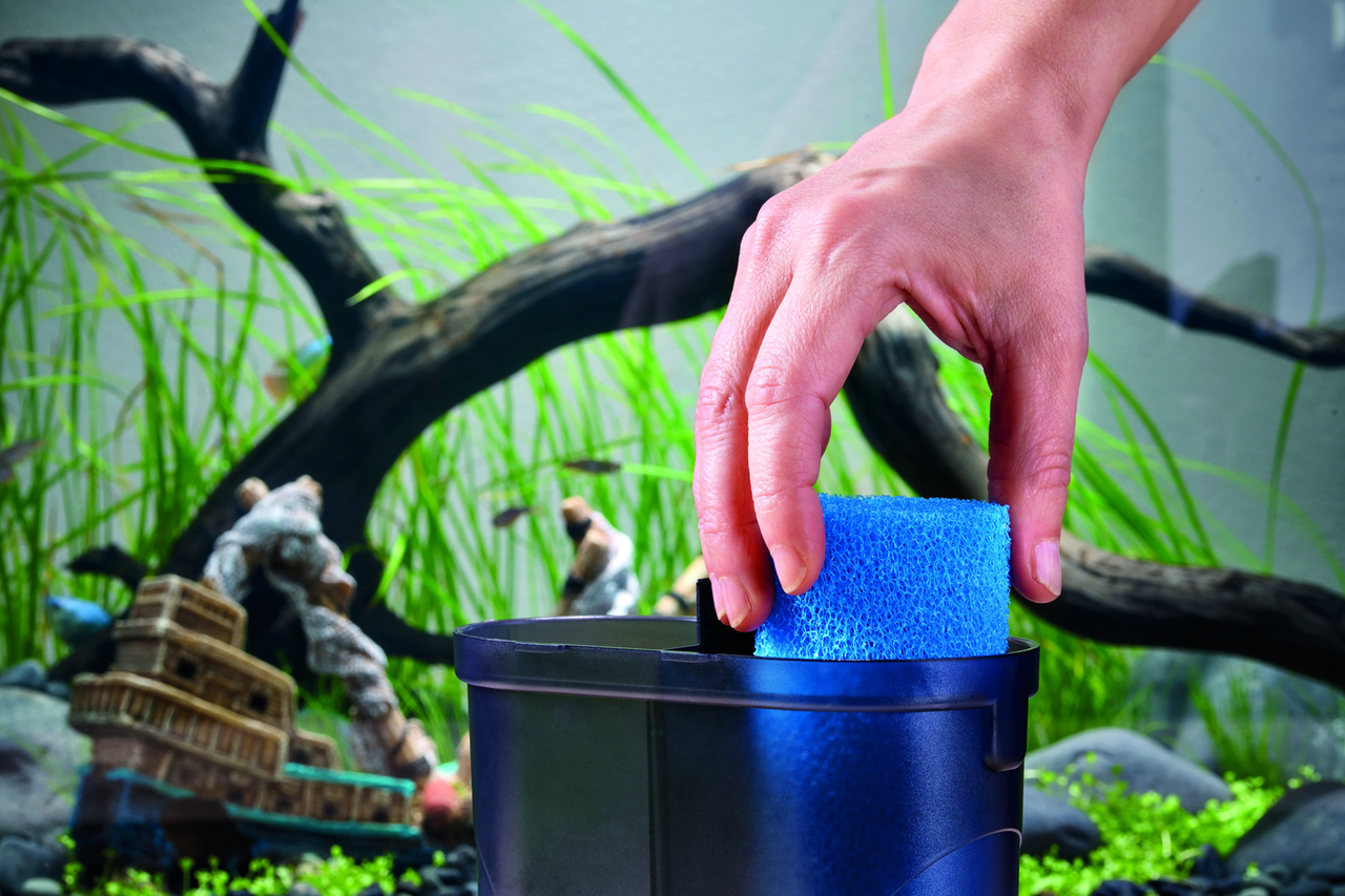 Eden PDG 60 Kiesreiniger