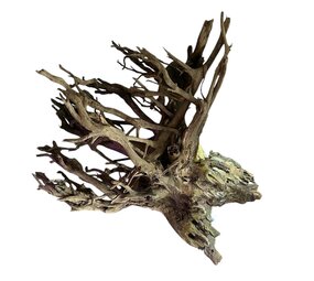 AQXL Ausgewählt CORBO-ROOT JUMBO XXL 80-120cm NR4 AQXL Ausgewählt CORBO-ROOT JUMBO XXL 80-120cm NR4