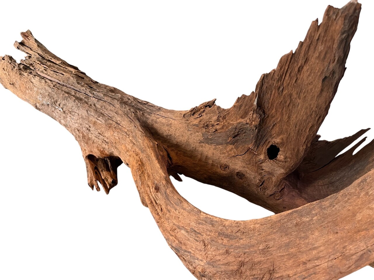 AQXL Selected Mangrovehout XXL 120-170cm NR3