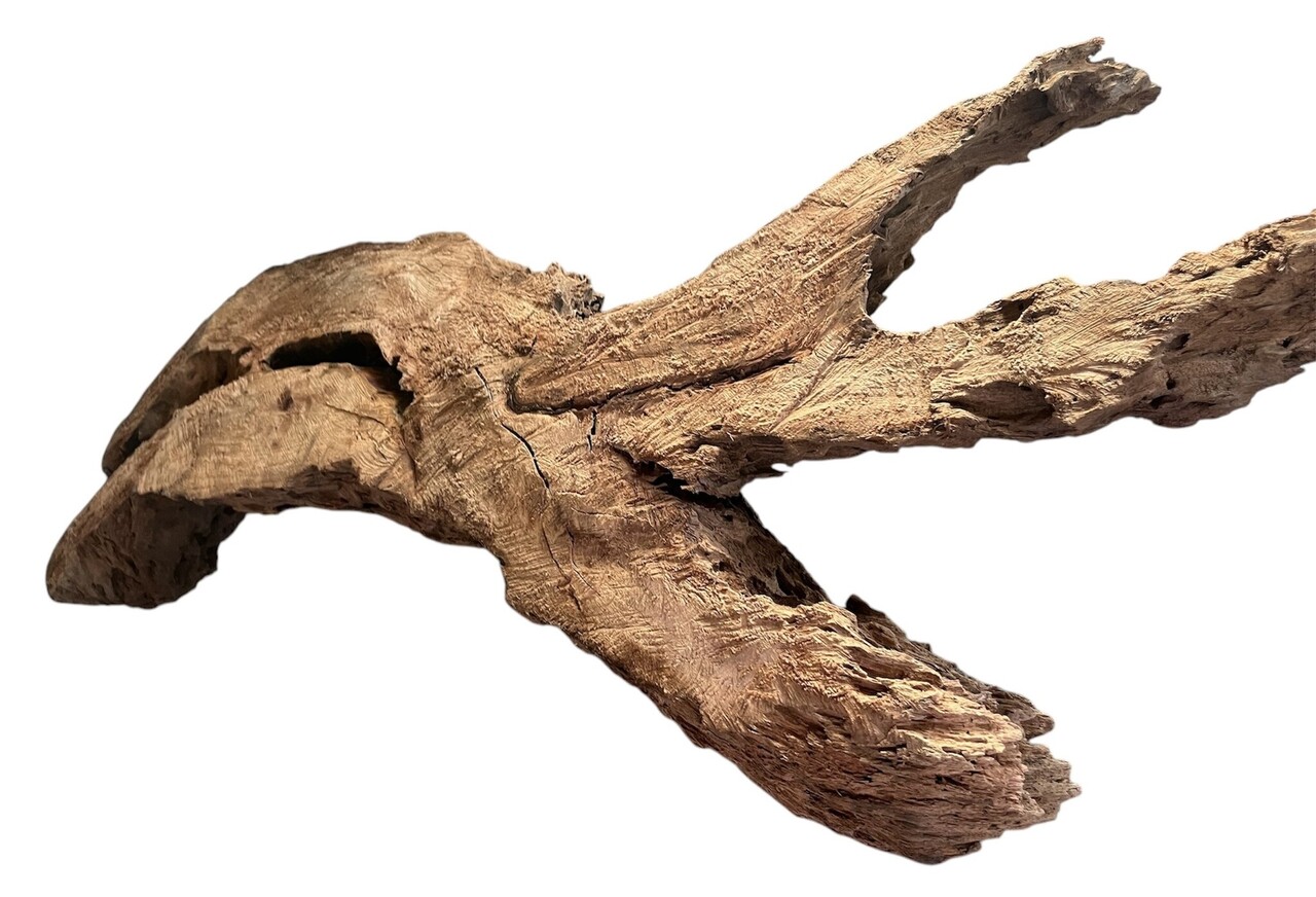 AQXL Selected Mangrovehout XXL 120-170cm NR2