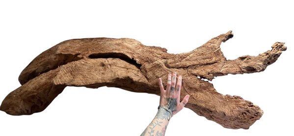 AQXL Selected Mangrovehout XXL 120-170cm NR2