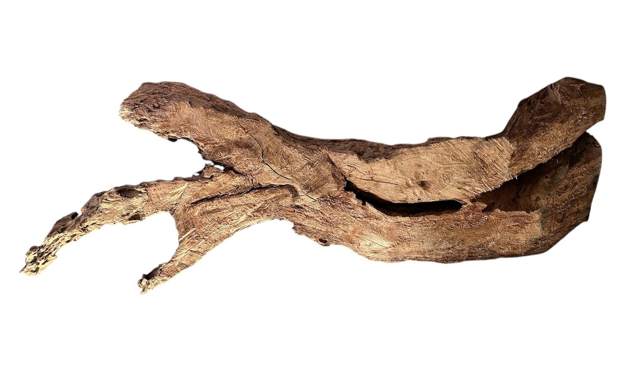 AQXL Selected Mangrovehout XXL 120-170cm NR2