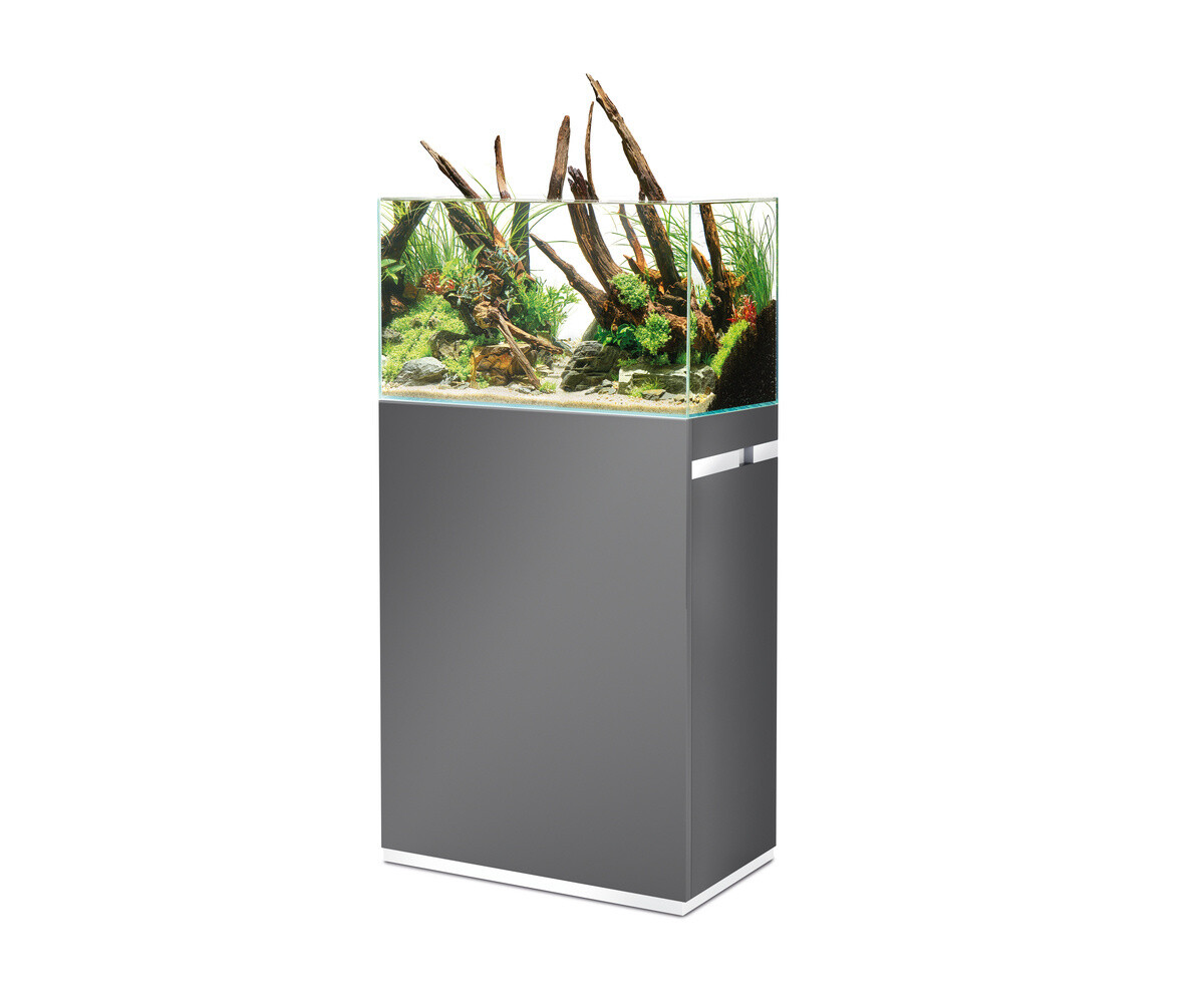 Oase ScaperLine 60 Set Grau Oase ScaperLine 60 Set Grau