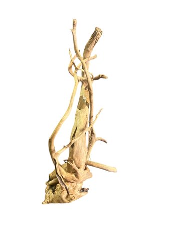 AquastoreXL Baumstumpf XXL 50 - 80 cm 1,15kg - NR21 AquastoreXL Baumstumpf XXL 50 - 80 cm 1,15kg - NR21