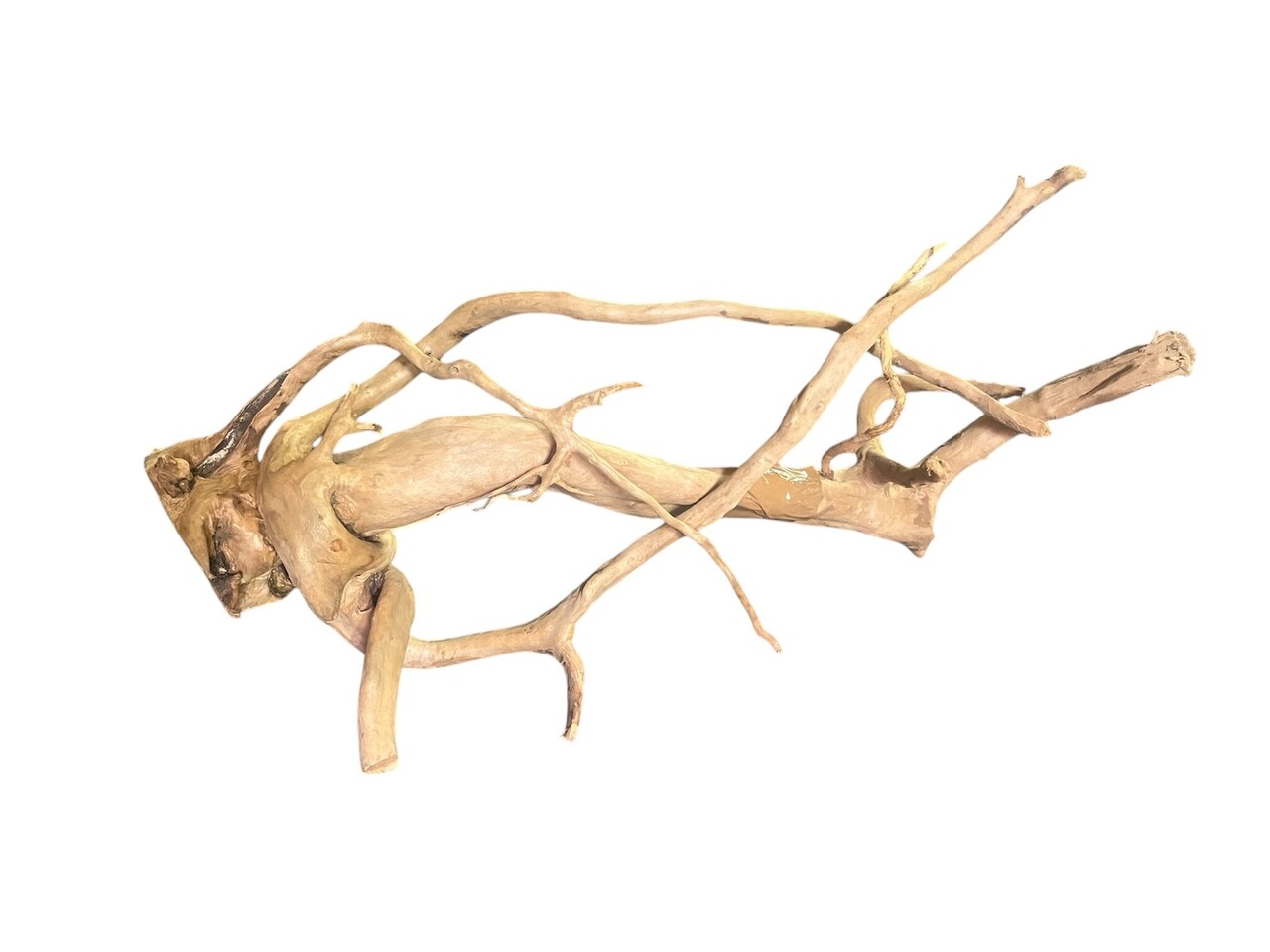 AquastoreXL Baumstumpf XXL 50 - 80 cm 1,15kg - NR21 AquastoreXL Baumstumpf XXL 50 - 80 cm 1,15kg - NR21