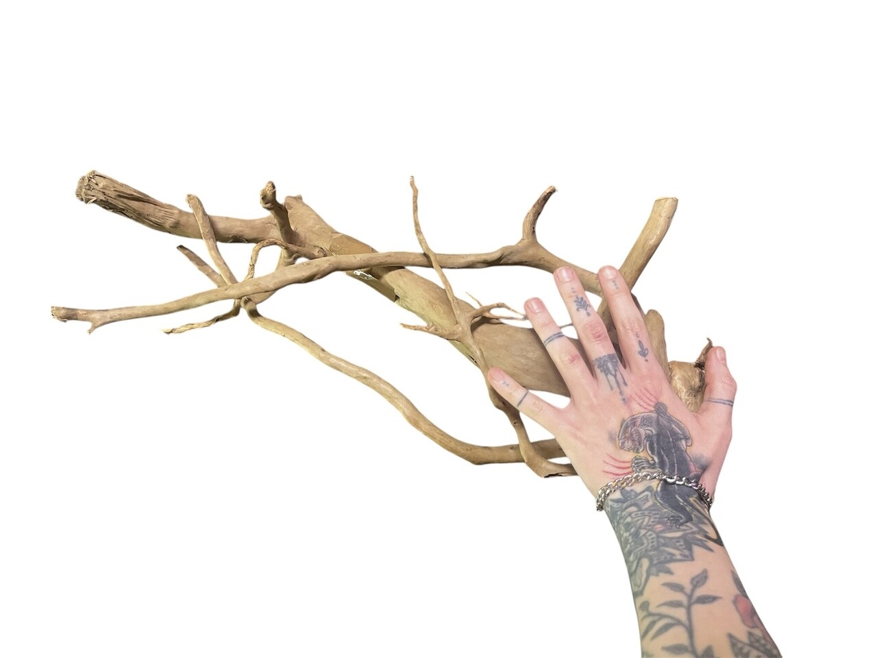 AquastoreXL Baumstumpf XXL 50 - 80 cm 1,15kg - NR21 AquastoreXL Baumstumpf XXL 50 - 80 cm 1,15kg - NR21