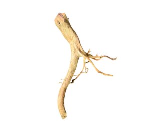 AquastoreXL Baumstumpf XXL 50 - 80 cm 1,35kg - NR20 AquastoreXL Baumstumpf XXL 50 - 80 cm 1,35kg - NR20