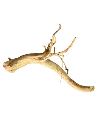 AquastoreXL Baumstumpf XXL 50 - 80 cm 1,35kg - NR20