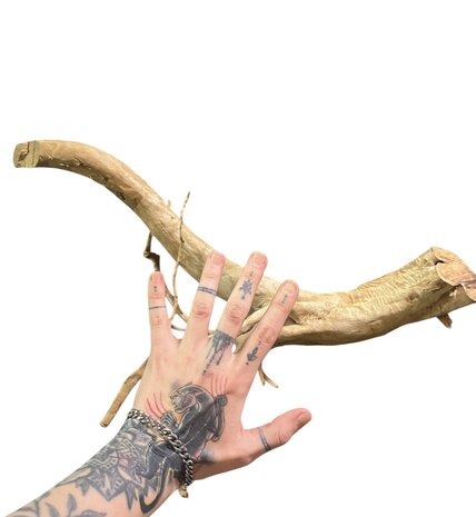 AquastoreXL Baumstumpf XXL 50 - 80 cm 1,35kg - NR20