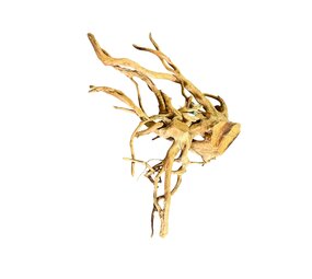 AquastoreXL Baumstumpf XXL 70 - 100 cm 2,75kg - NR18 AquastoreXL Baumstumpf XXL 70 - 100 cm 2,75kg - NR18