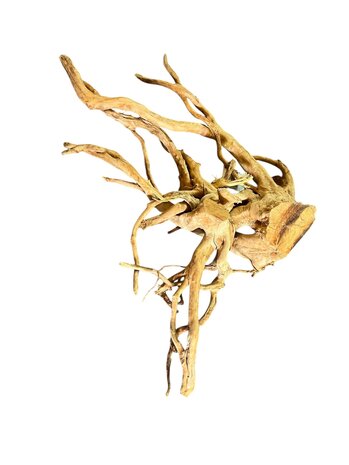 AquastoreXL Baumstumpf XXL 70 - 100 cm 2,75kg - NR18 AquastoreXL Baumstumpf XXL 70 - 100 cm 2,75kg - NR18