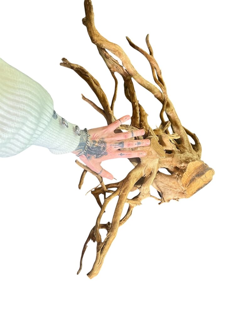 AquastoreXL Baumstumpf XXL 70 - 100 cm 2,75kg - NR18 AquastoreXL Baumstumpf XXL 70 - 100 cm 2,75kg - NR18