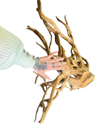 AquastoreXL Baumstumpf XXL 70 - 100 cm 2,75kg - NR18 AquastoreXL Baumstumpf XXL 70 - 100 cm 2,75kg - NR18