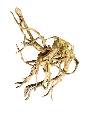 AquastoreXL Baumstumpf XXL 70 - 100 cm 2,75kg - NR18 AquastoreXL Baumstumpf XXL 70 - 100 cm 2,75kg - NR18