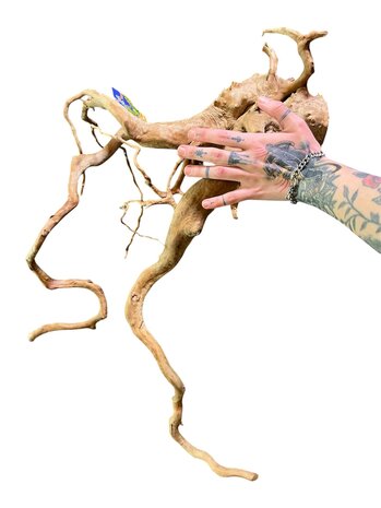 AquastoreXL Baumstumpf XXL 70 - 100 cm 1,75kg - NR17