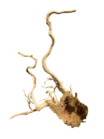 AquastoreXL Baumstumpf XXL 70 - 100 cm 1,75kg - NR17