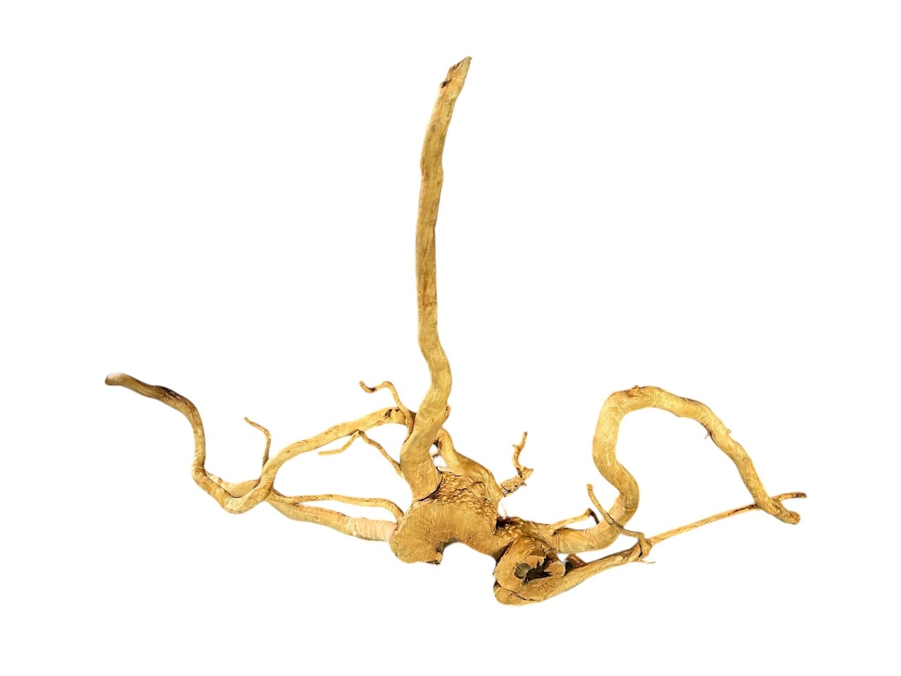 AquastoreXL Baumstumpf XXL 70 - 100 cm 2,5kg - NR14