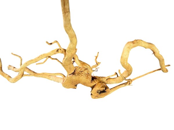 AquastoreXL Baumstumpf XXL 70 - 100 cm 2,5kg - NR14