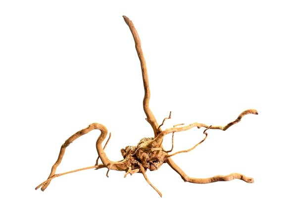 AquastoreXL Baumstumpf XXL 70 - 100 cm 2,5kg - NR14