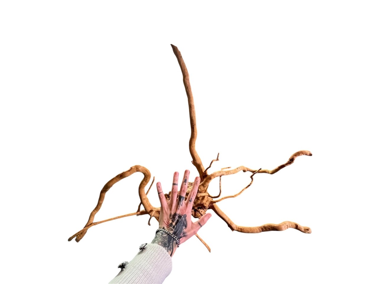 AquastoreXL Baumstumpf XXL 70 - 100 cm 2,5kg - NR14