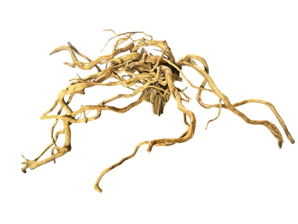 AquastoreXL Baumstumpf XXL 70 - 100 cm 2,85kg - NR15