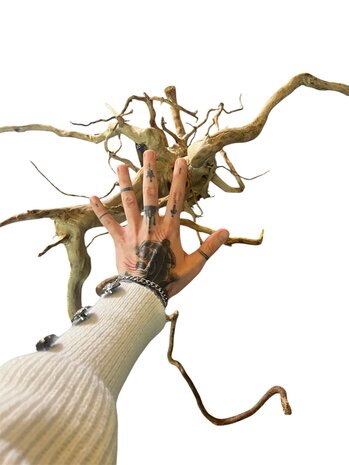 AquastoreXL Baumstumpf XXL 70 - 100 cm 1,6kg - NR16