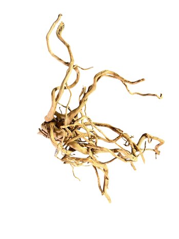 AquastoreXL Baumstumpf XXL 70 - 100 cm 2,85kg - NR15