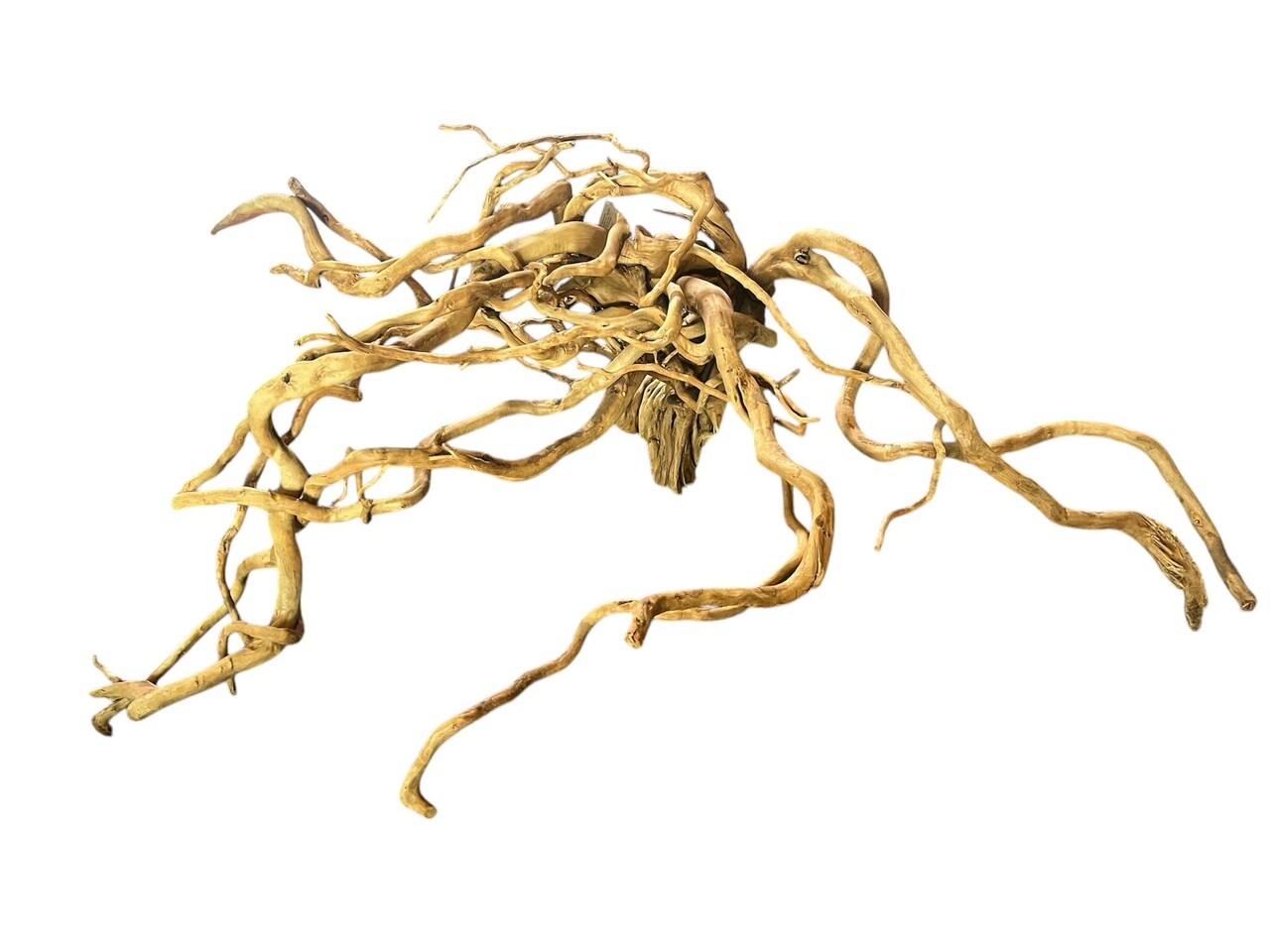 AquastoreXL Baumstumpf XXL 70 - 100 cm 2,85kg - NR15