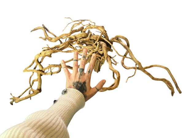 AquastoreXL Baumstumpf XXL 70 - 100 cm 2,85kg - NR15